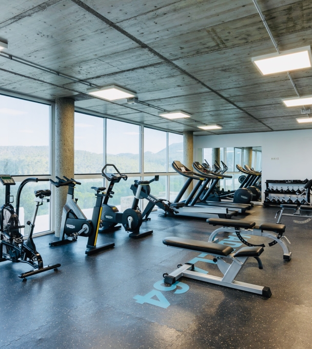 Resa Estates Ibiza for sale koop penthouse Cala Vadella Gym 1 Spa .jpeg